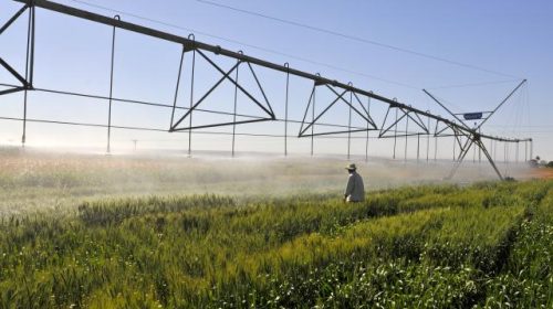 Artigo A importância da gestão de recursos hídricos e da agricultura irrigada no nexo água e alimento