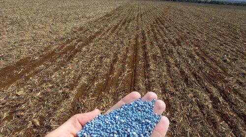 Tecnologias podem ajudar produtor a aproveitar melhor o adubo fosfatado