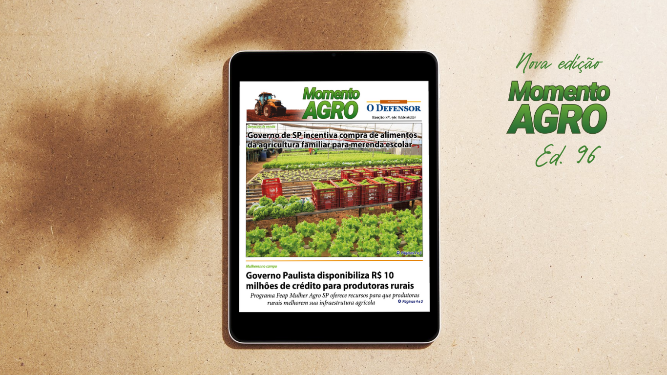 Jornal O Defensor – outubro de 2024 – Momento Agro