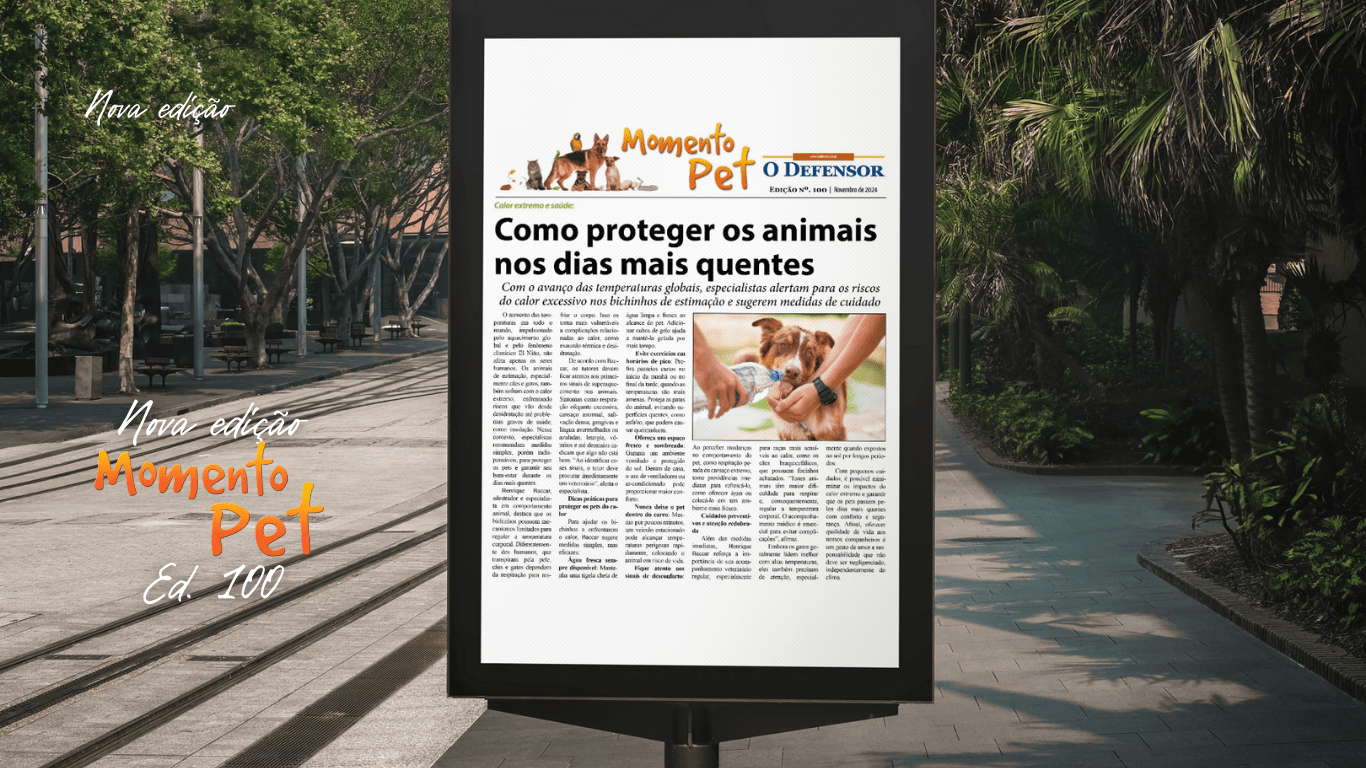 Jornal O Defensor – Novembro de 2024 – Momento Pet