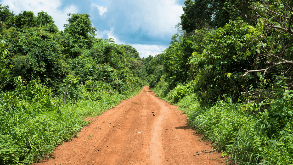 Infraestrutura: Vereador cobra melhorias em passarela e estrada rural