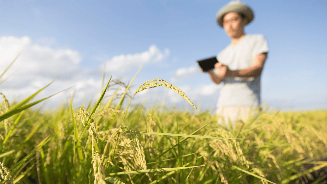 Educação: Escola Estadual Professor Francisco Silveira Coelho inova com curso de Agronegócio