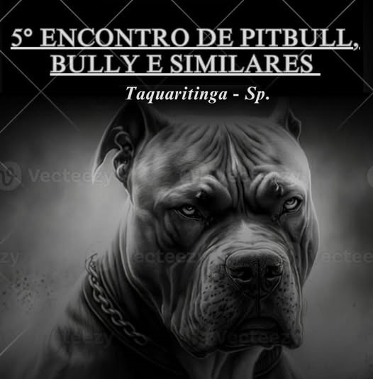 Momento Pet: Encontro de Pit Bull e Bully em Taquaritinga tem nova data confirmada