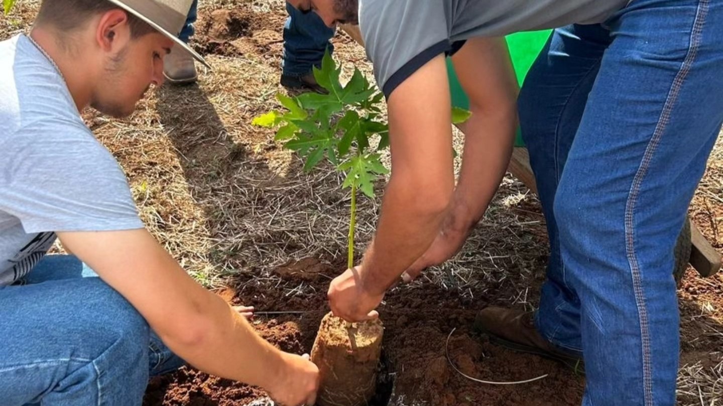 Capacitação: Alunos de Agronomia da Ites realizam plantio experimental no campus