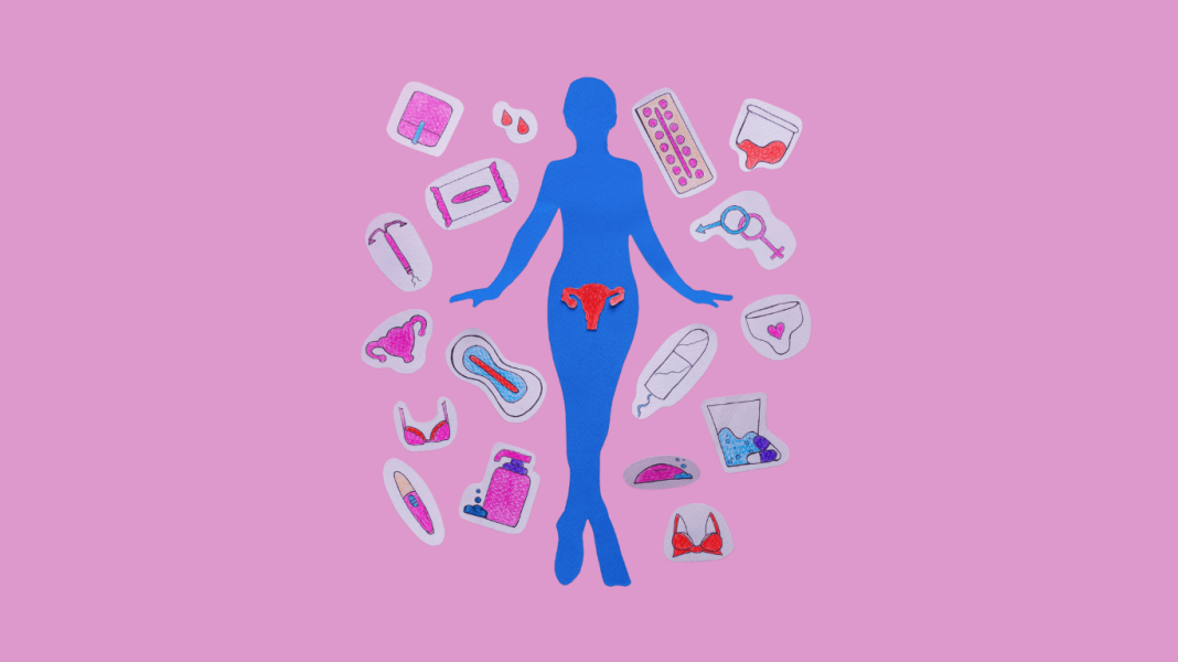 Desafio: Educação menstrual nas escolas públicas, avanços, desafios e a quebra de um tabu