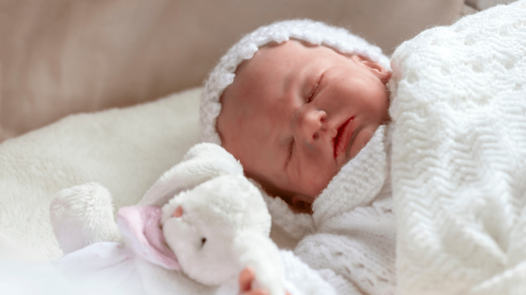 Bebês Reborn: Hobby Inofensivo ou Alerta para Problemas de Saúde Mental?