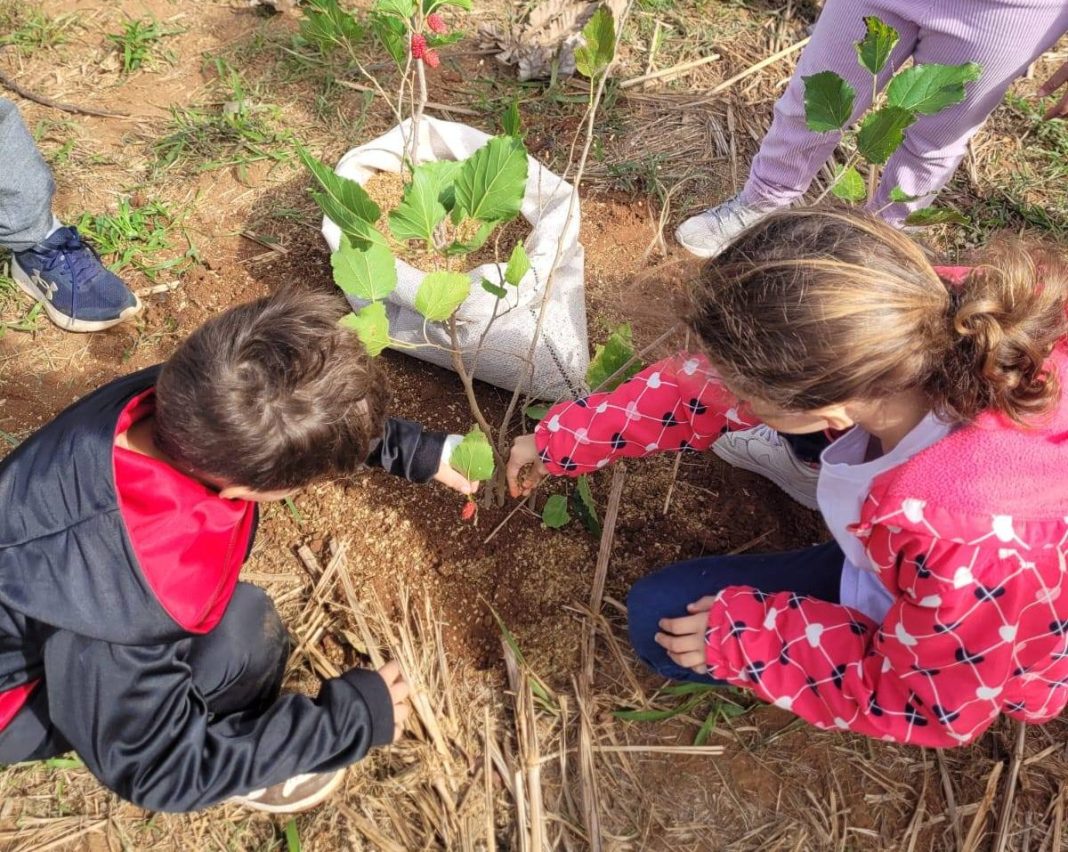 Semeando o futuro: Crianças plantam consciência ambiental no Instituto Ypê Verde