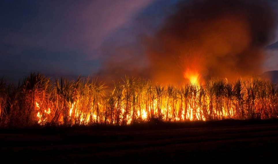 Fique atento: Socicana alerta produtores sobre prevenção a incêndios na estação da seca