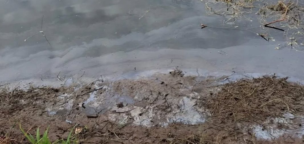 Represa da Colombo: Vereadora aciona CETESB após abertura das comportas na represa do Parque ‘Ernesto Salvagni’
