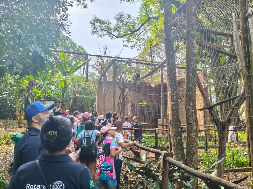 Cidadania: Alunos da E.M.E.B. Edina Bergamasco Scrivanti vivem experiência inesquecível no Zoológico de São Carlos
