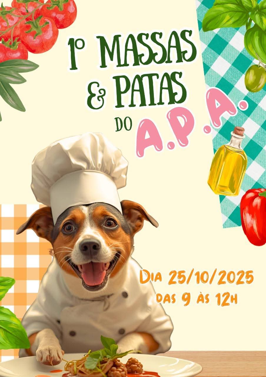 Deliciosa ação solidária: Associação de Proteção aos Animais realiza venda beneficente de massas em Taquaritinga