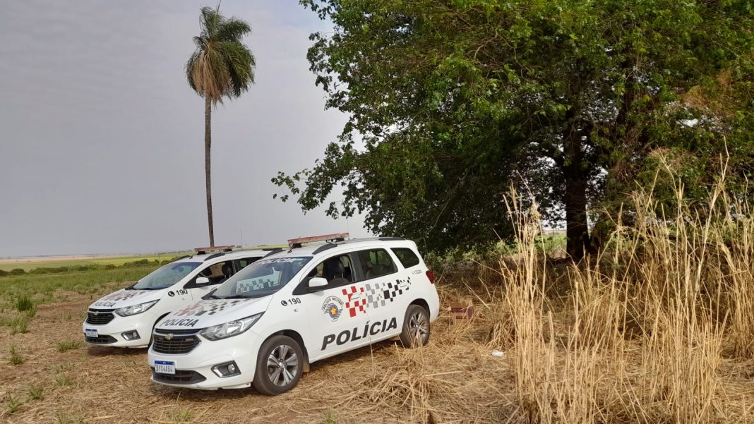 Após denúncia anônima: Polícia localiza mais de seis quilos de maconha escondidos em canavial na zona rural de Taquaritinga