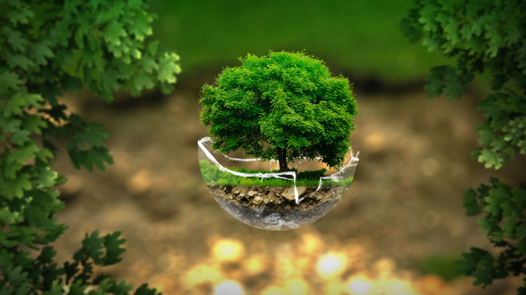 Nossa Palavra – Meio ambiente: quando o lucro fala mais alto que a vida