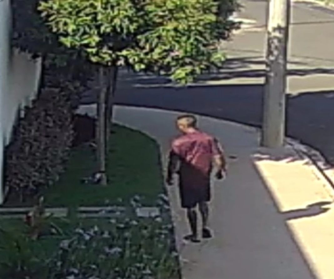 Em Taquaritinga: Furto de decoração natalina gera indignação no Jardim Laranjeiras IV