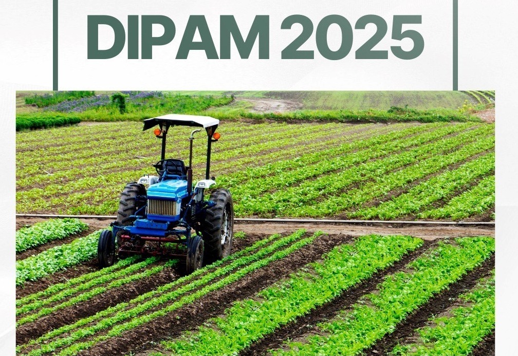 DIPAM 2025: Produtores rurais de Taquaritinga têm até 20 de março para entregar declaração