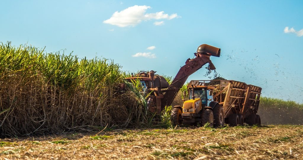 Economia: Superávit do agro paulista registra mais de US$ 8 bilhões em cinco meses