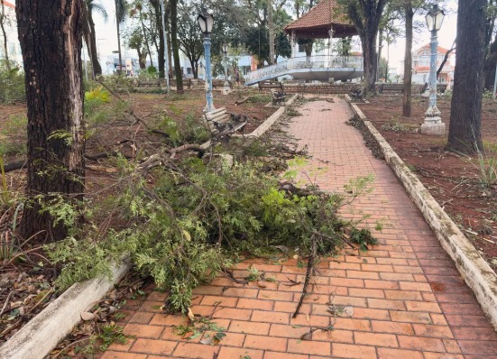 Tempestade: Taquaritinga é o município mais afetado no campo e produtores rurais terão acesso a crédito emergencial