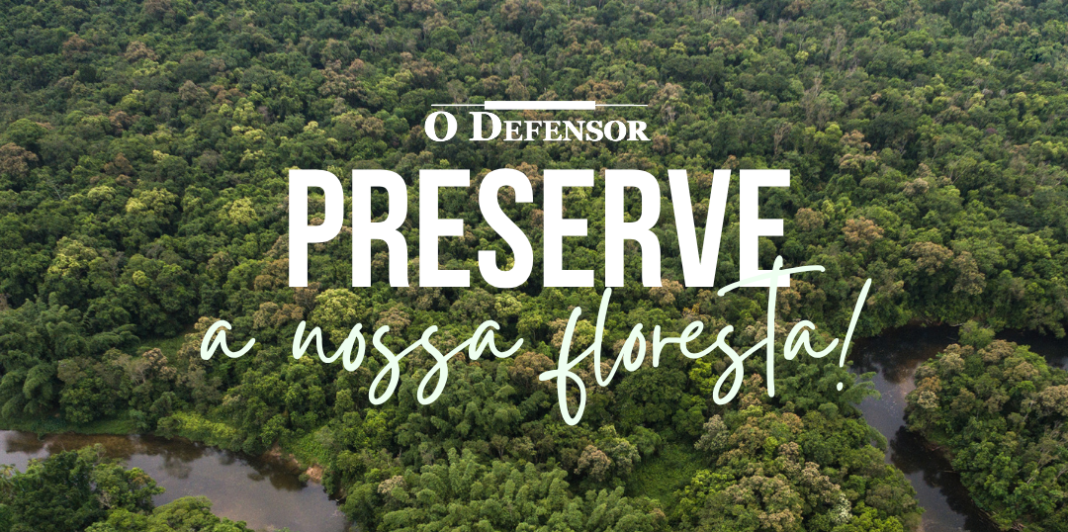 Nossa Palavra – Os Pulmões do Mundo: O Dia De Proteção Às Florestas e a nossa dependência da natureza