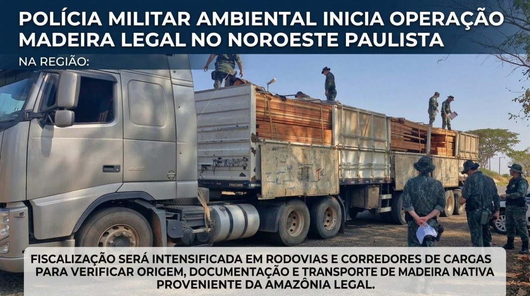 Na região: Polícia Militar Ambiental inicia Operação Madeira Legal no Noroeste Paulista