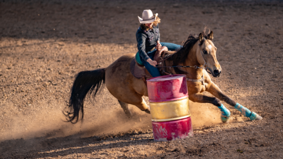 Na região: 51ª Festa do Peão de Borborema terá três noites de rodeio e shows com entrada gratuita