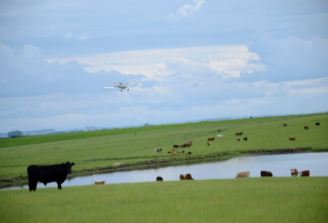 Momento Agro: Começa Prazo para o ITR e declaração exige atenção ao valor da terra nua