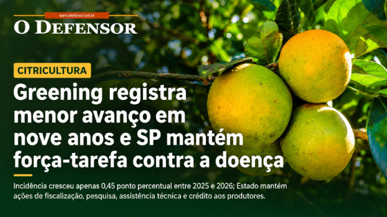 Citricultura: Greening registra menor avanço em nove anos e SP mantém força-tarefa contra a doença