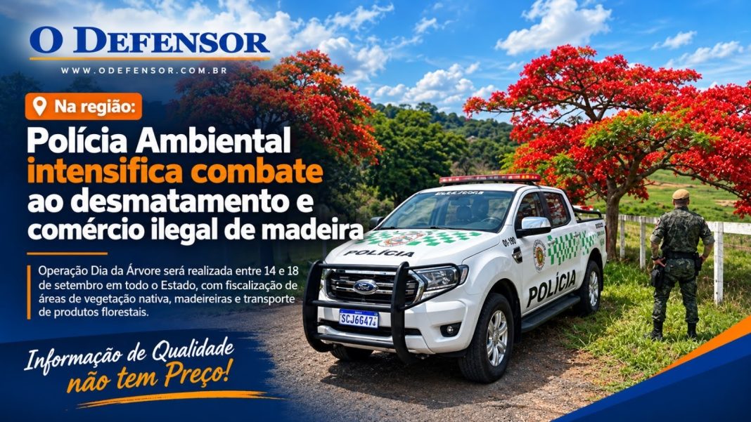 Na região: Polícia Ambiental intensifica combate ao desmatamento e comércio ilegal de madeira