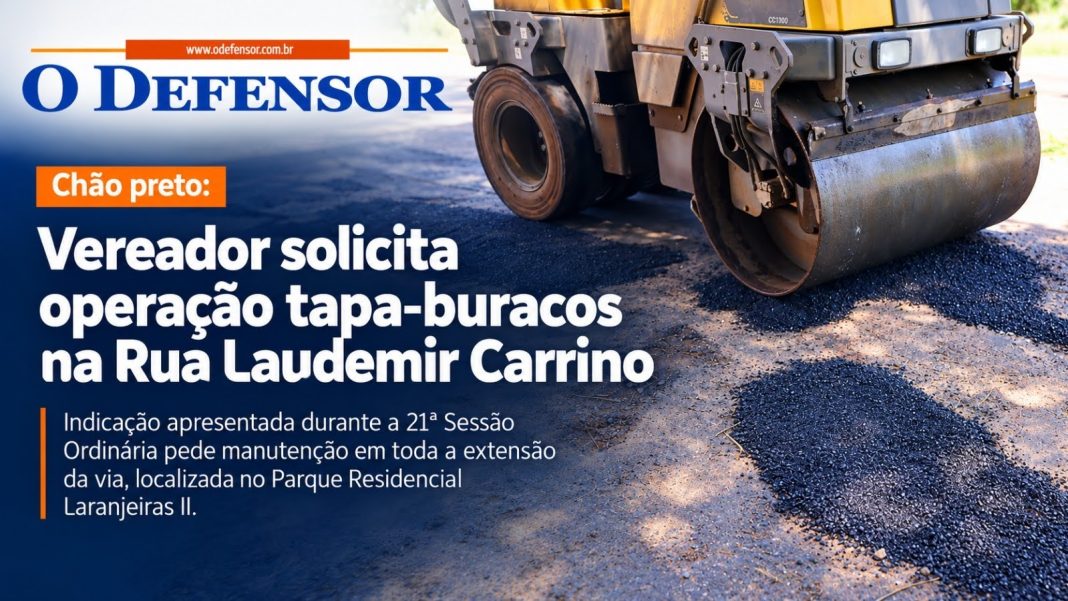 Chão preto: Vereador solicita operação tapa-buracos na Rua Laudemir Carrino
