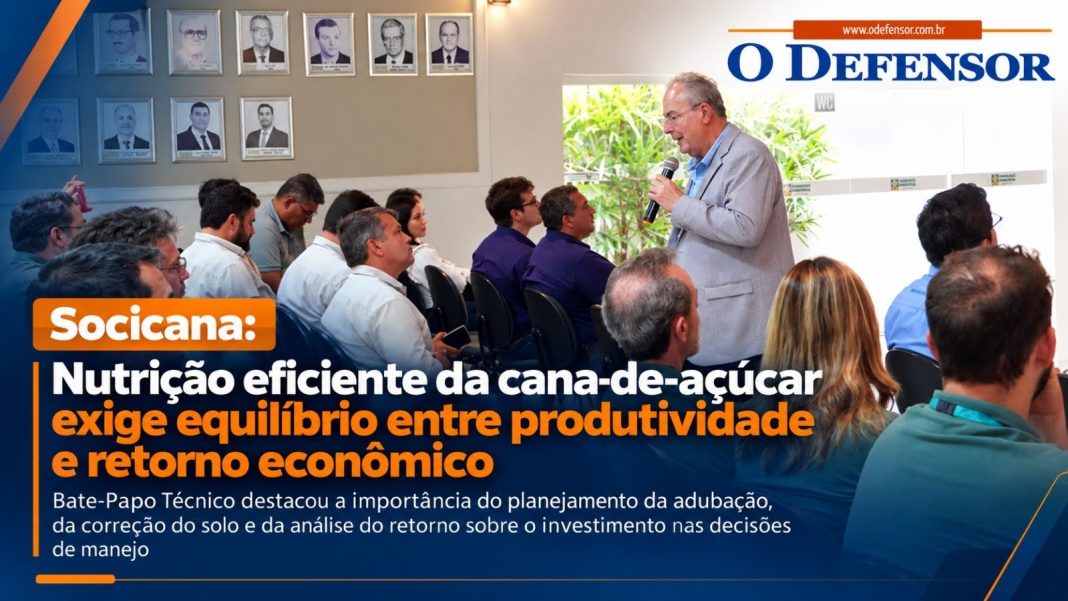 Socicana: Nutrição eficiente da cana-de-açúcar exige equilíbrio entre produtividade e retorno econômico