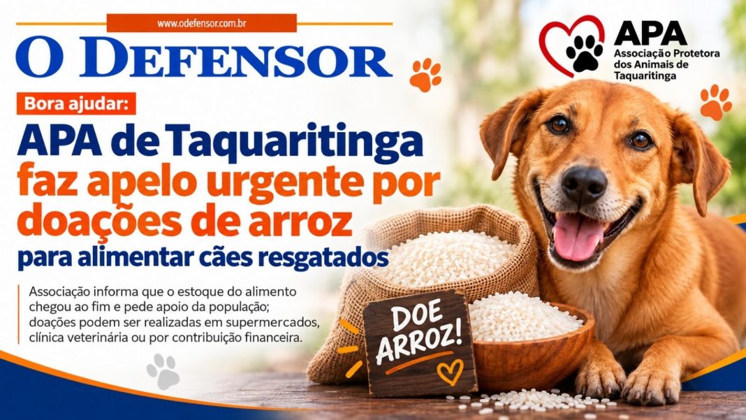 Bora ajudar: APA de Taquaritinga faz apelo urgente por doações de arroz para alimentar cães resgatados
