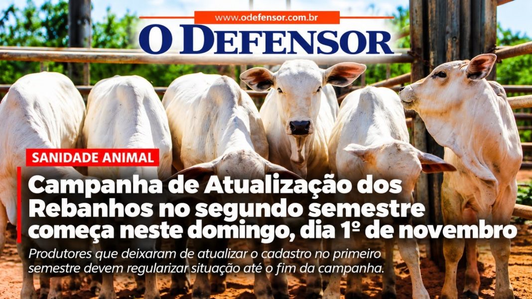 Sanidade Animal: Campanha de Atualização dos Rebanhos no segundo semestre começa neste domingo, dia 1º de novembro