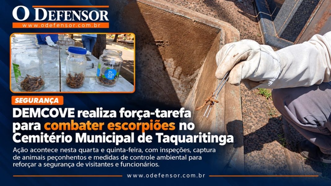 Segurança: DEMCOVE realiza força-tarefa para combater escorpiões no Cemitério Municipal de Taquaritinga
