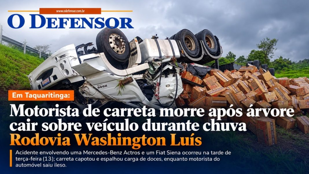 Em Taquaritinga: Motorista de carreta morre após árvore cair sobre veículo durante chuva Rodovia Washington Luís